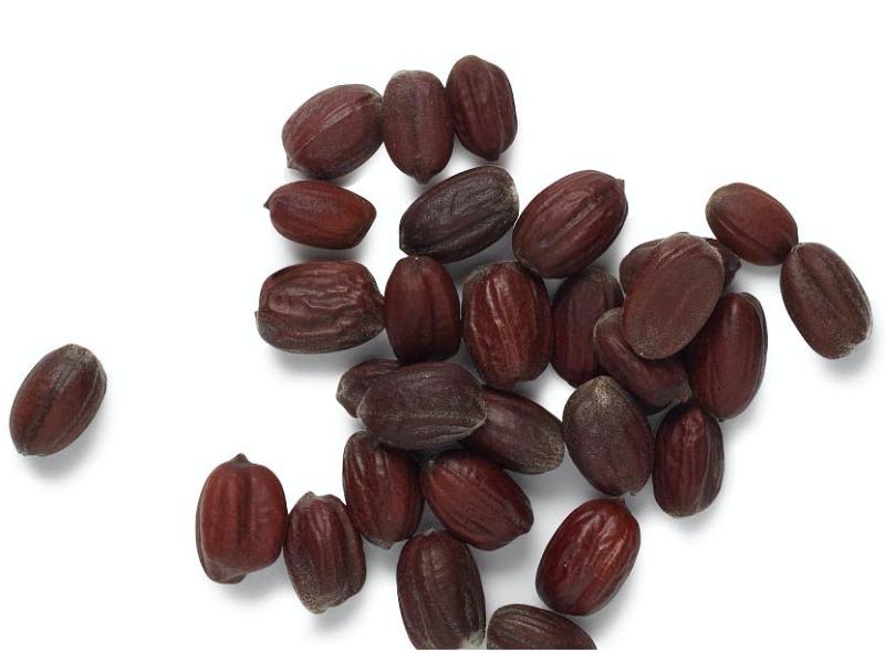 derived from beans